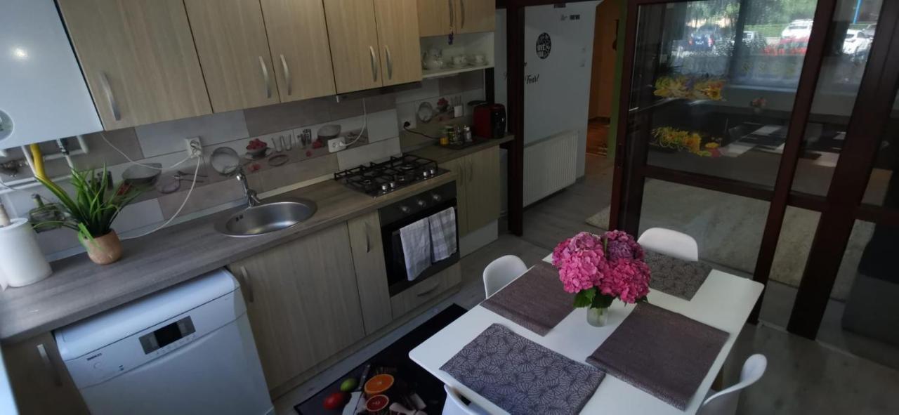 Ana Lux Apartments ブラショフ エクステリア 写真