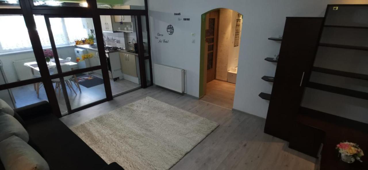 Ana Lux Apartments ブラショフ エクステリア 写真