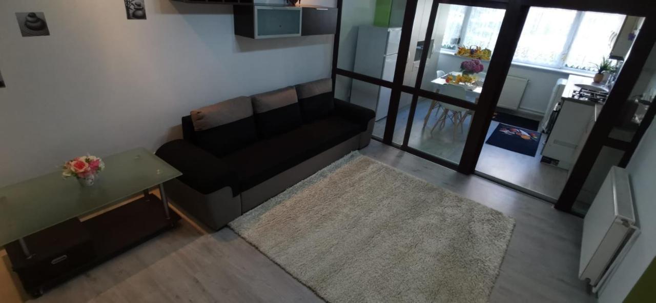 Ana Lux Apartments ブラショフ エクステリア 写真