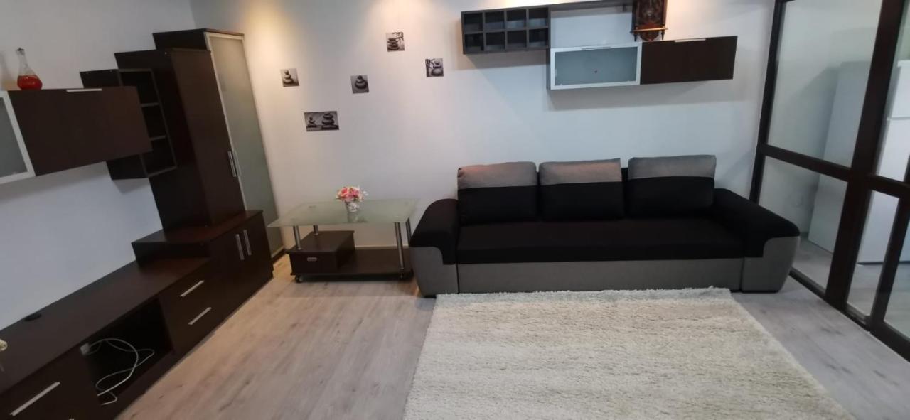 Ana Lux Apartments ブラショフ エクステリア 写真